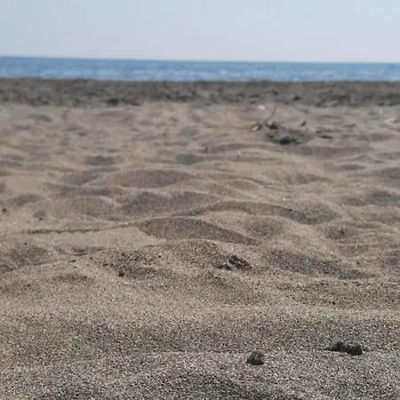 Pushimi Regis * Velipojë